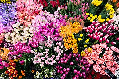 厂商疯狂暗示 《监狱建筑师2》或将于下周正式公布